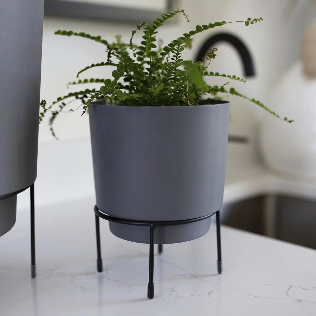 Bloem 6-in Hopson Modern Round Resin Planter with Black Metal Stand - Charcoal Gray