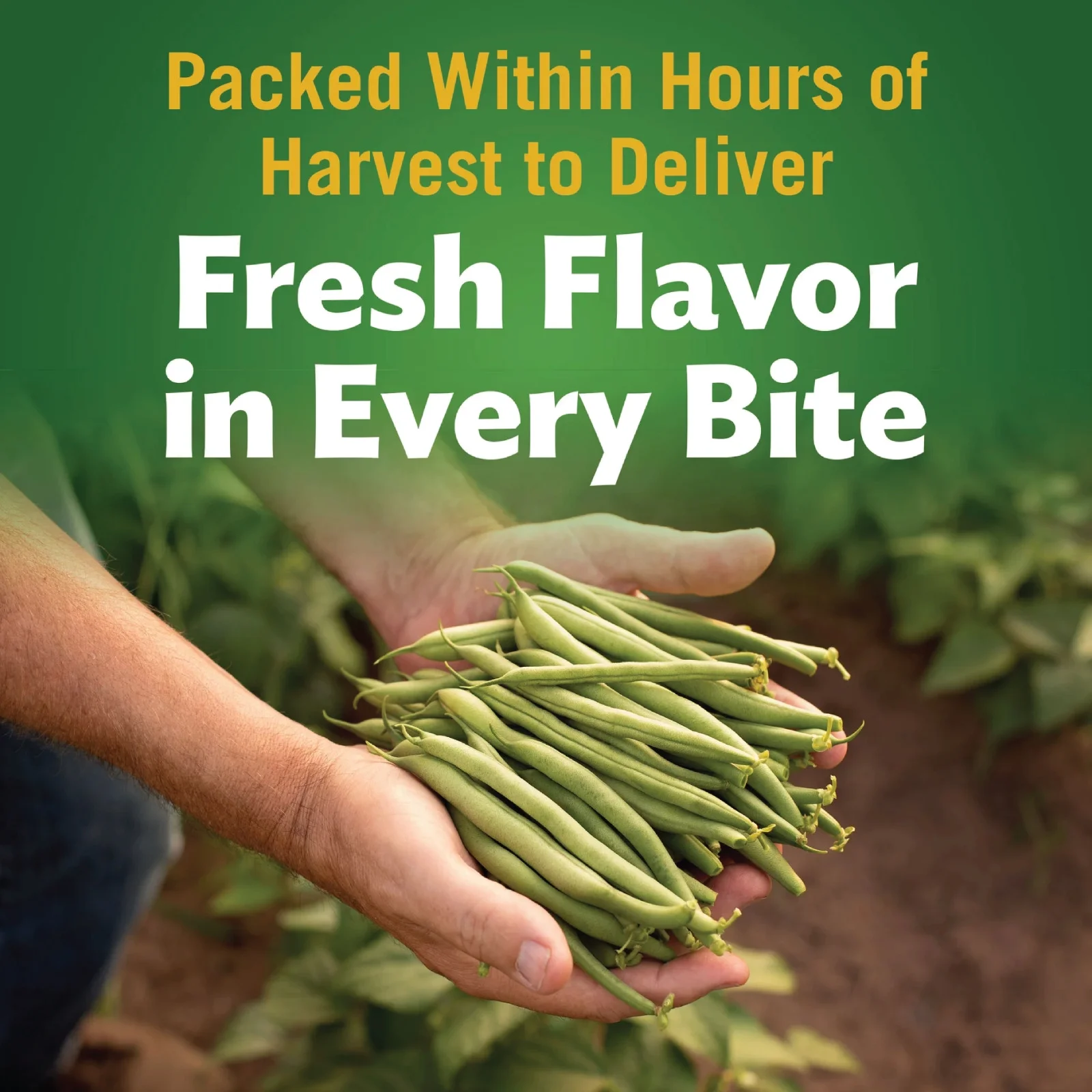 6x Cans Del Monte Quality Fresh Cut Green Beans - 15oz!