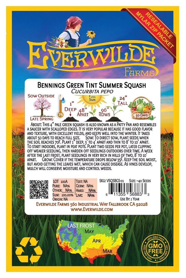 Everwilde Farms - 40 Bennings Green Tint Scallop Summer Squash Seeds - Gold Vault Jumbo Bulk Seed Packet