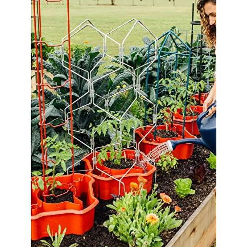 Deluxe Tomato Halo | Efficient Tomato Planter System With 2-Gallon Water Reservoir For Healthy Roots & High Walls For ion | Set Of 2 - Red