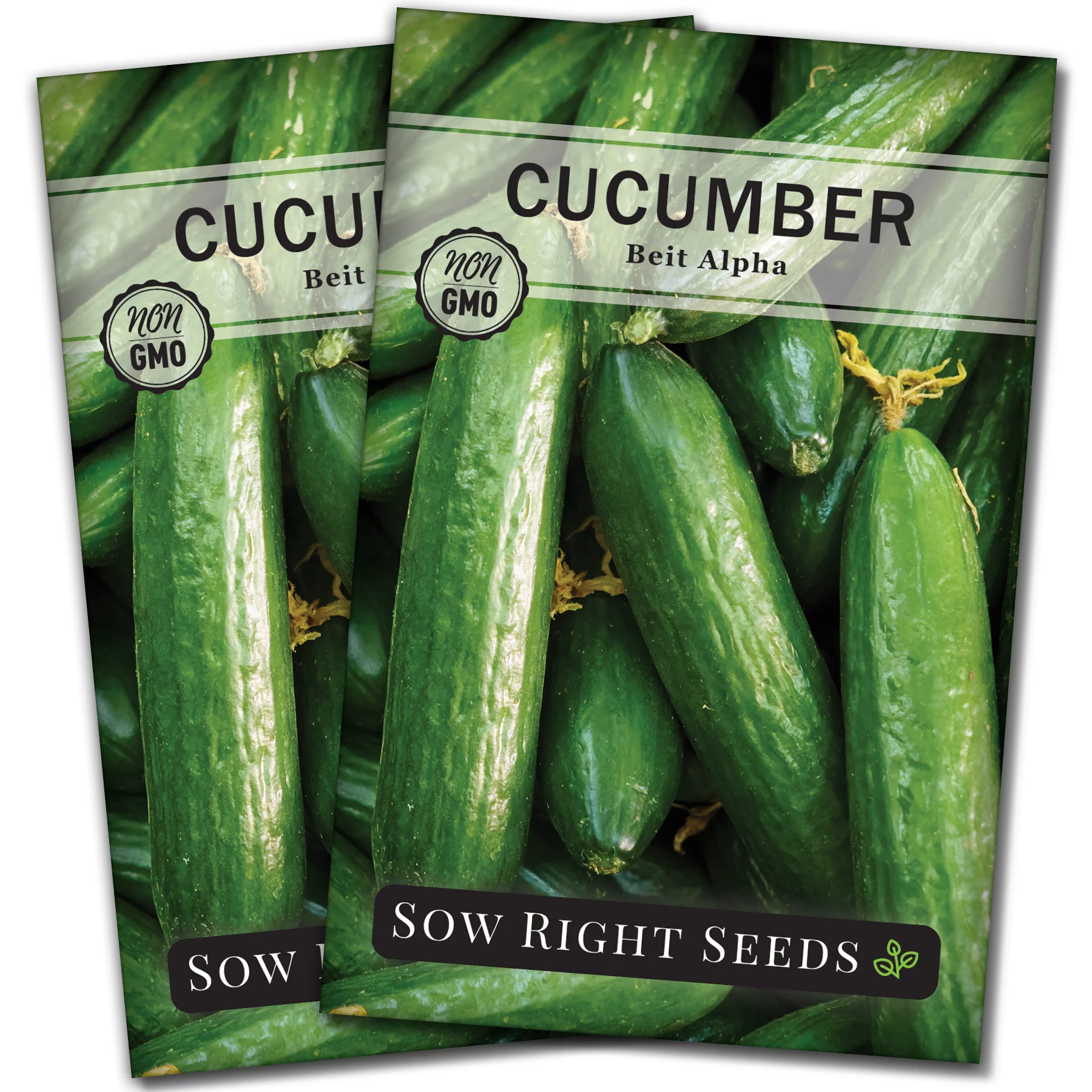 Beit Alpha Cucumber Seeds - Non GMO Heirloom Varieties for your Home Vegetable Garden - 2 Pack