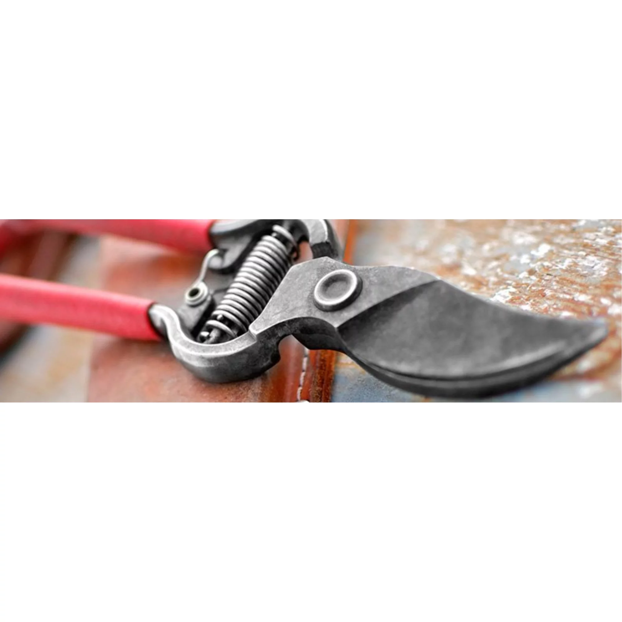 Corona SL 3264 Comfort Grip Bypass Lopper, 1.5