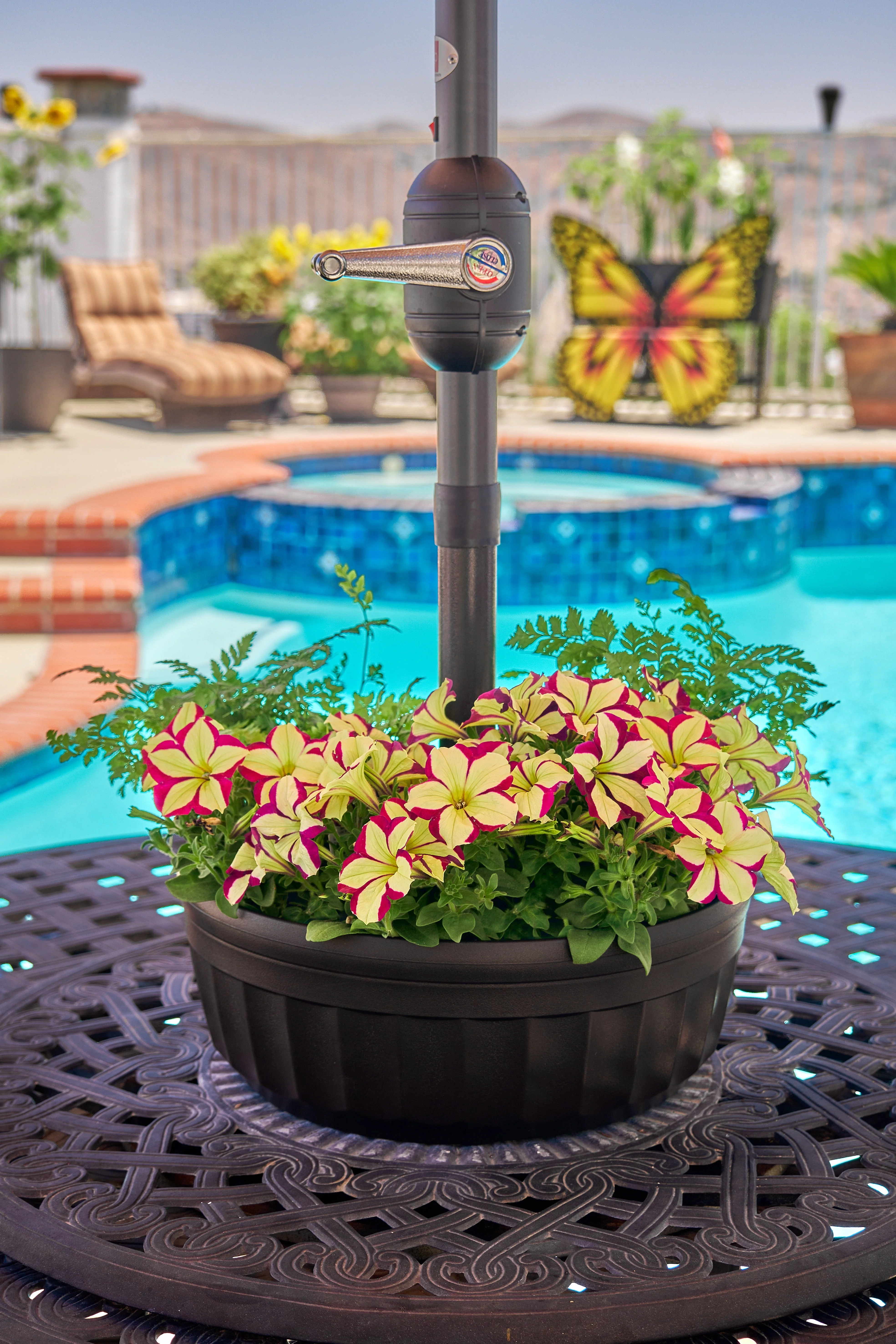 The Savannah Planter: Brown