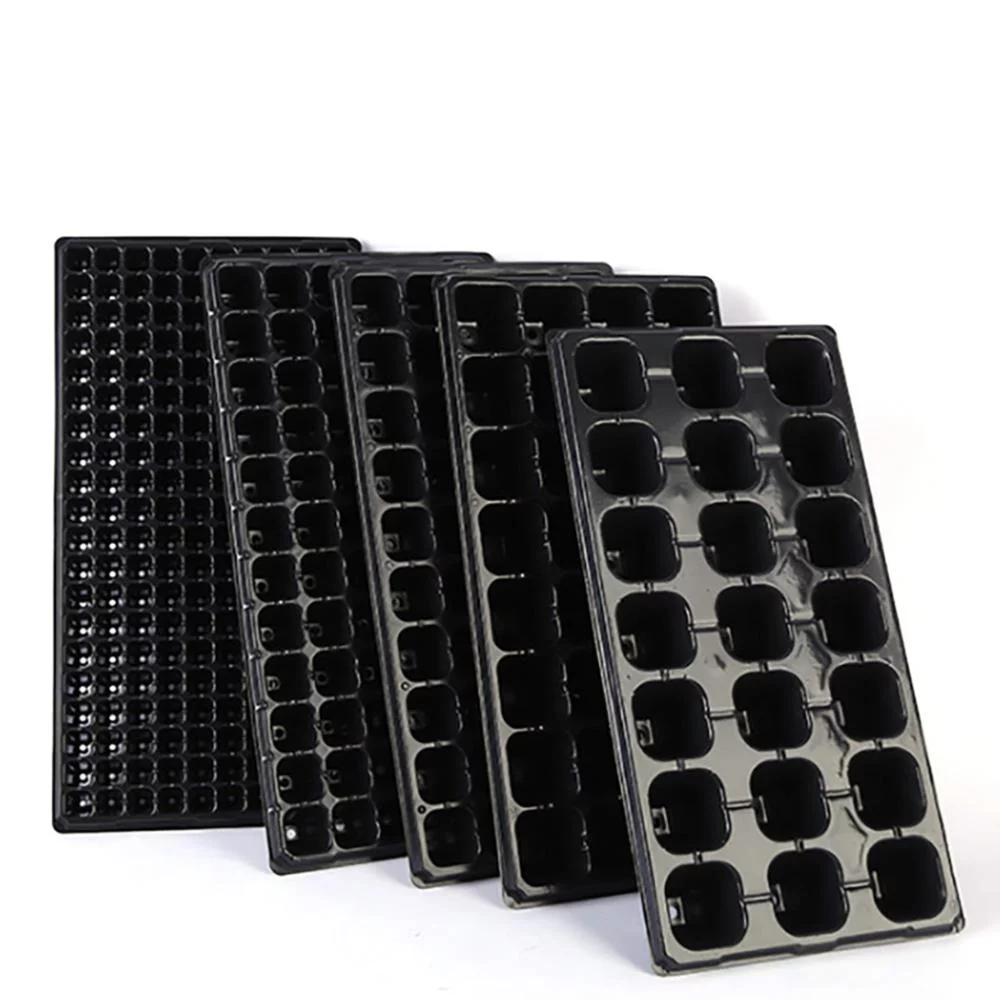 Garden Germination 10Pcs Succulent Bonsai Plastic Seedling Tray Nursery Tray Seed Grow Box Flower Pot 32 CELLS