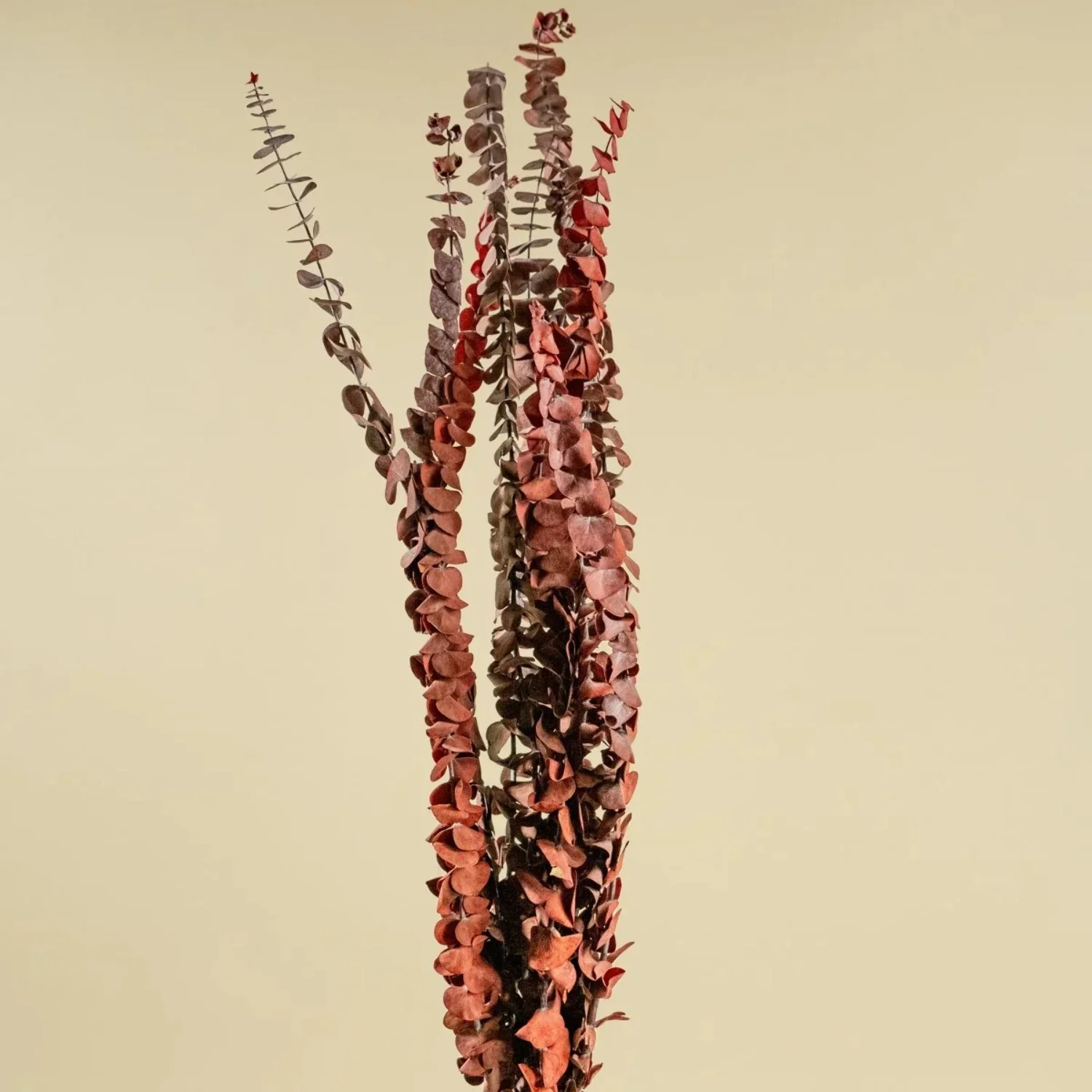 Raw Sola Wood Flowers - Centerpiece/Vase/Pot/Bouquet Fillers - -Satin Washed Eucalyptus Red