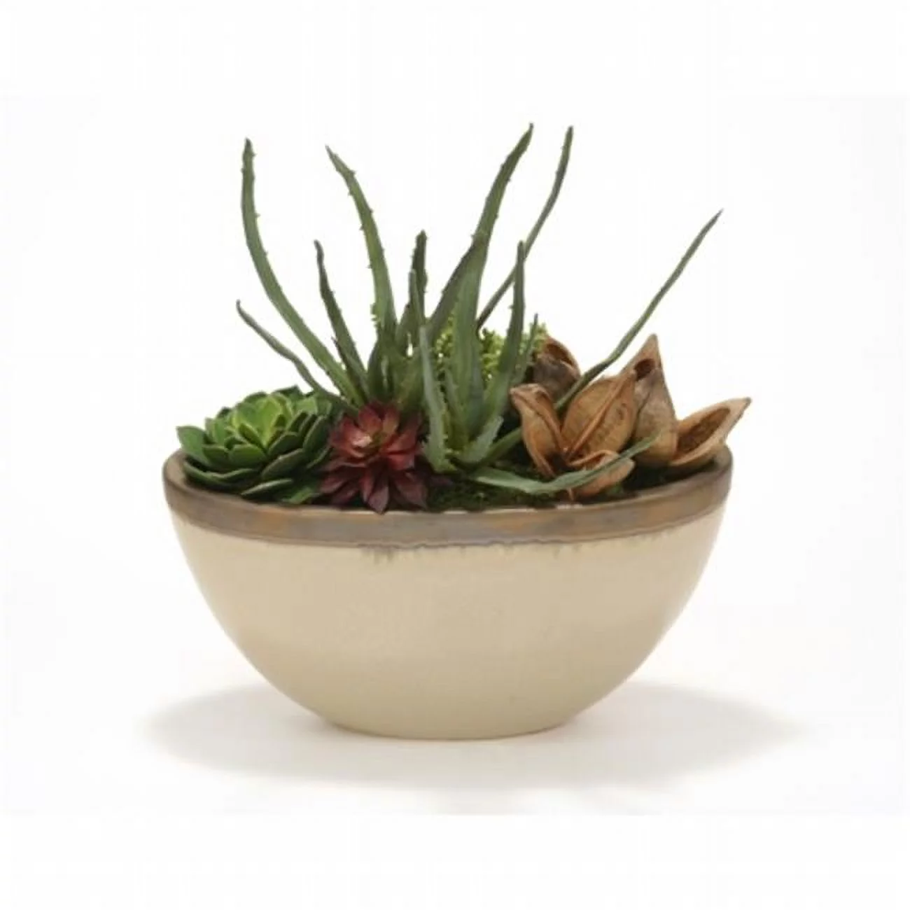 Distinctive Designs 1919 Succulent Garden In Glazed Tan Ceramic Oval Planter