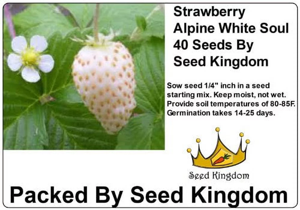 Strawberry Alpine White Soul (Fragaria Vesca) Great Heirloom Vegetable 40 Seeds By Seed Kingdom