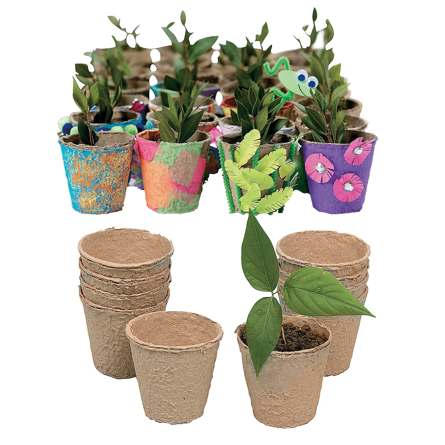 Fun Express DIY Watch It Grow Seed Pots - 96 Pc