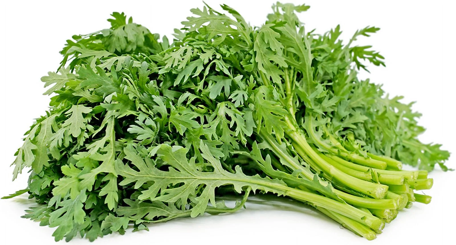 1000+ Chrysanthemum Seeds, Tần Ô, Cải Cúc, Tong Ho - [Mai's Family]