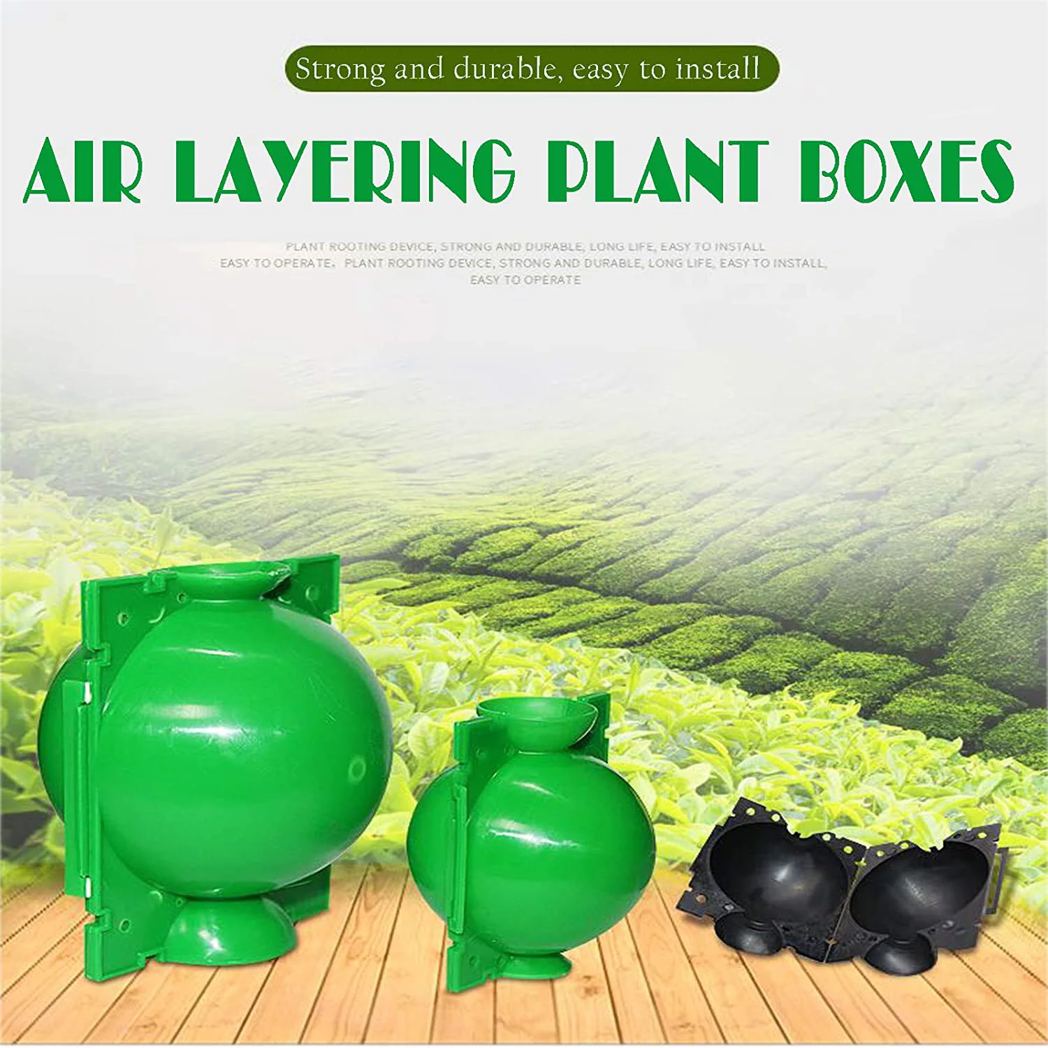 Plant Root Growing Box, Assisted Cutting Rooting Box Propagation Rooting Ball Reusable Plant Grafting Plastic Device - 6 Pcs (M)