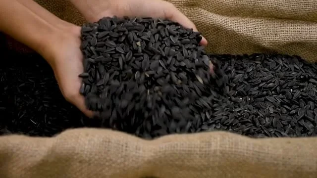 Meadow Ridge Farms B200010 Black Sunflower Wild Bird Food, 10 Lbs. - Quantity 1