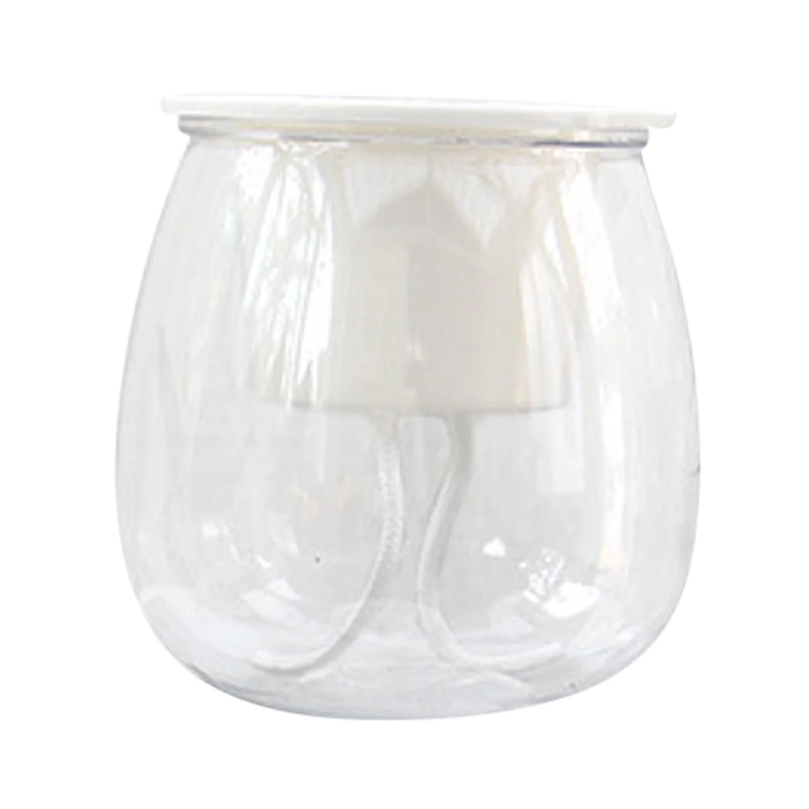 DYWADE Fourth of July Self Watering Planter Violet Pots Clear Plastic Automatic Watering Planter Flower Pot Pot for All House A One Size
