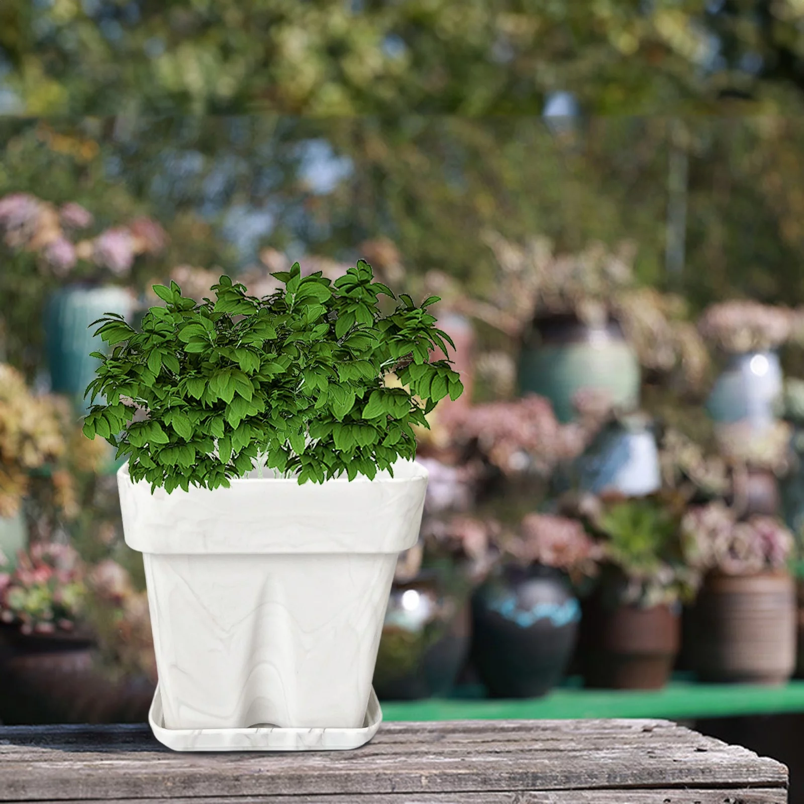 TIIFSWHS Thickened Anti Fall Silicone Planter Simple Square Home Office Decoration Succulent Pot Pumpkin Potpourri Outdoor Flower Large 48 Inches Or Bigger Flo