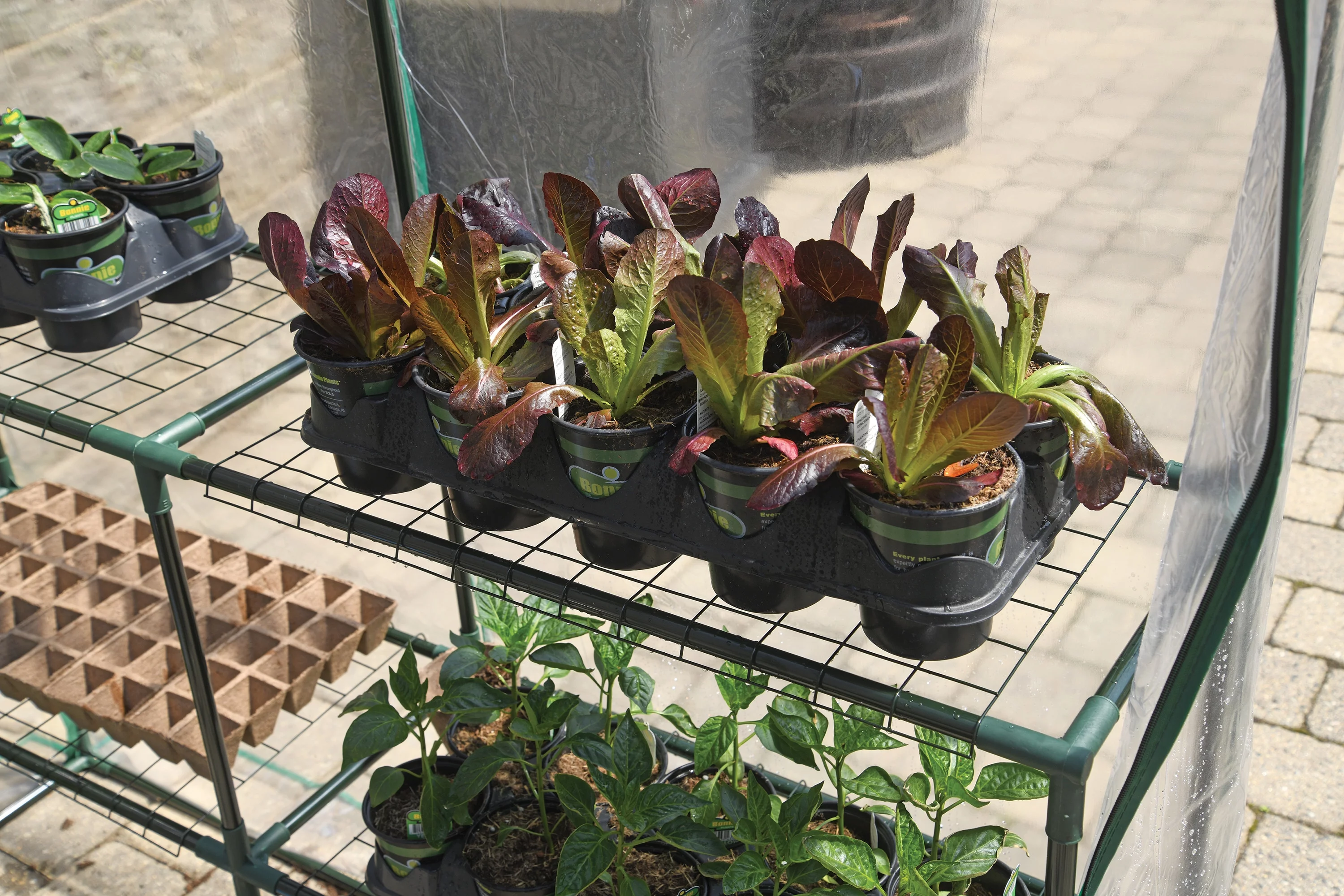 Grow It Small Greenhouse 4' 8