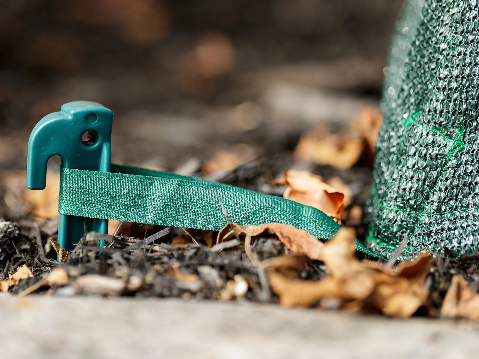 Green Polyethylene Shrub Cover 28 In. X 28 In. X 34 In.