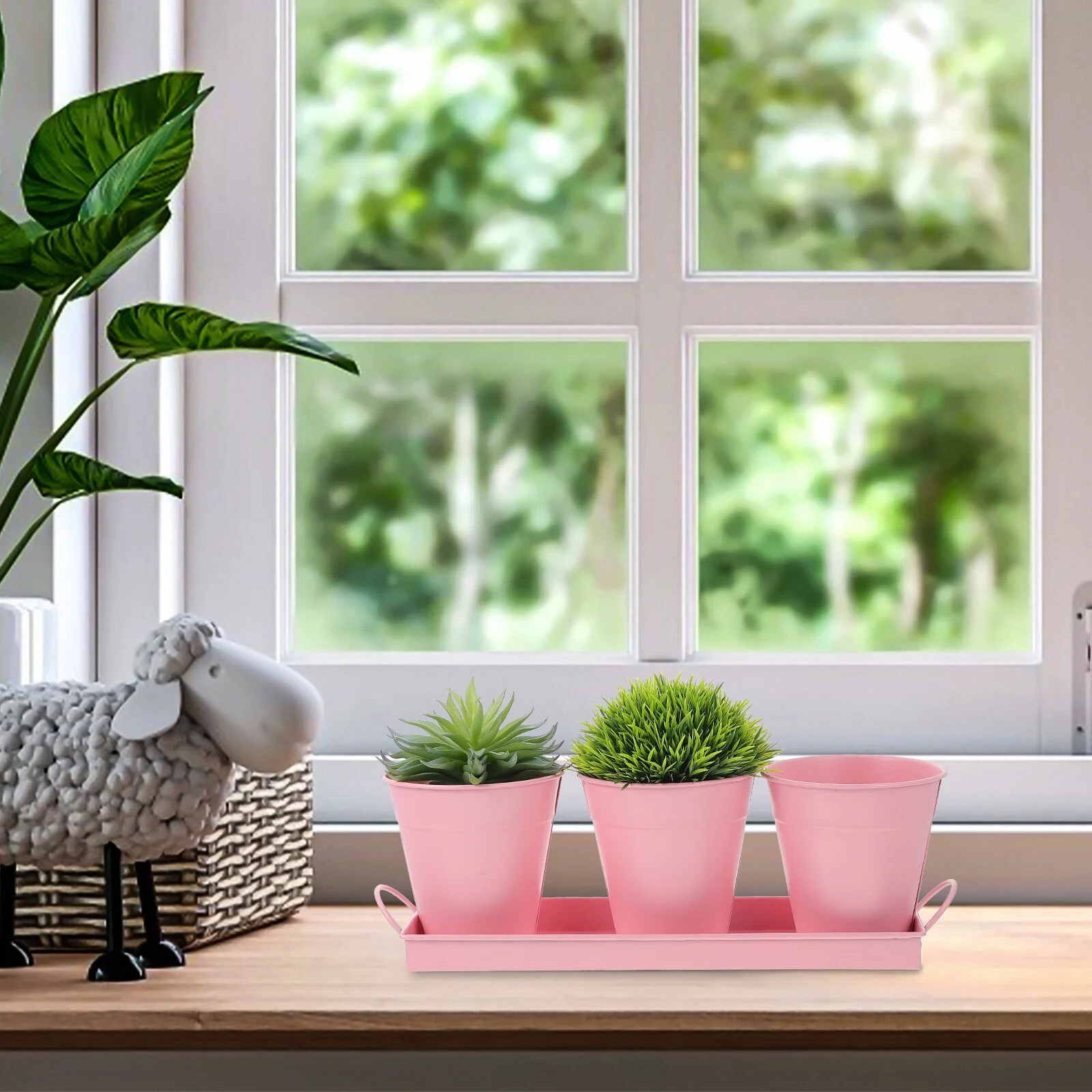 Tin Bucket Flower Pot with Tray Succulents French Planter Iron Gardening Bonsai Container