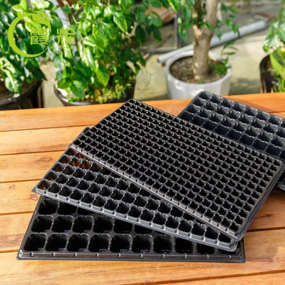Garden Germination 10Pcs Succulent Bonsai Plastic Seedling Tray Nursery Tray Seed Grow Box Flower Pot 32 CELLS