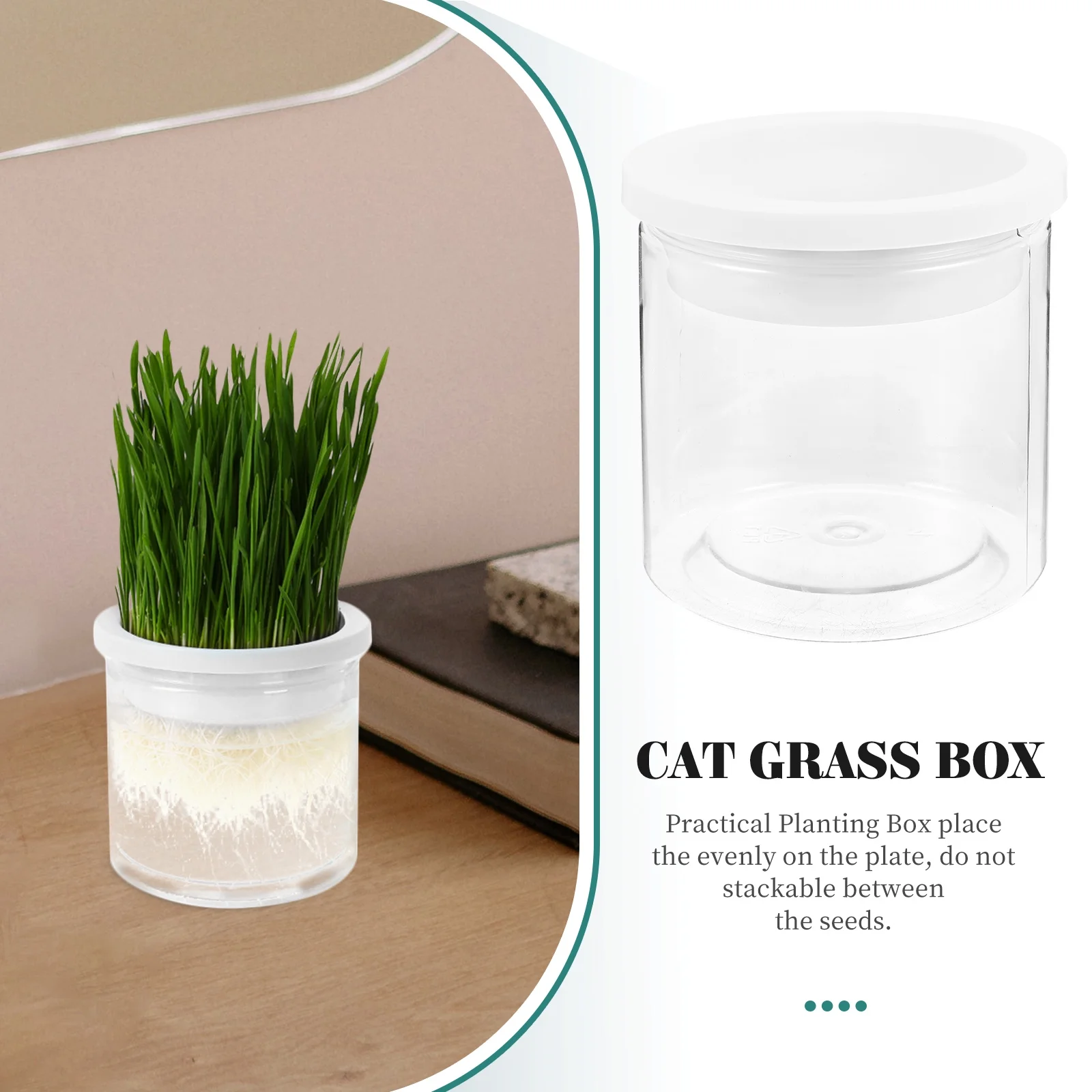 Cat Grass Box Hydroponic Planting Soilless Planter Catnip Plants Live Pot Pet White Plastic