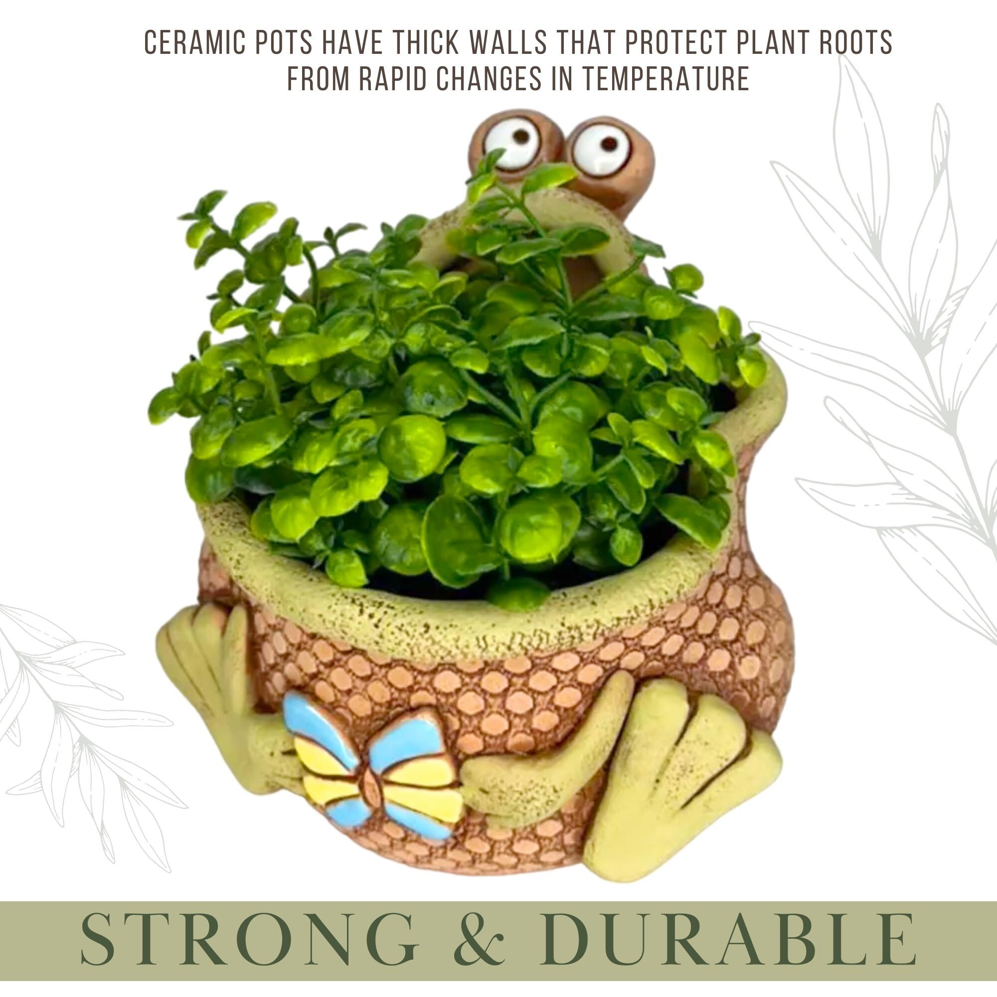 Golden Ceramics  Handmade Flower Pot Planter - Frogling - 6.3