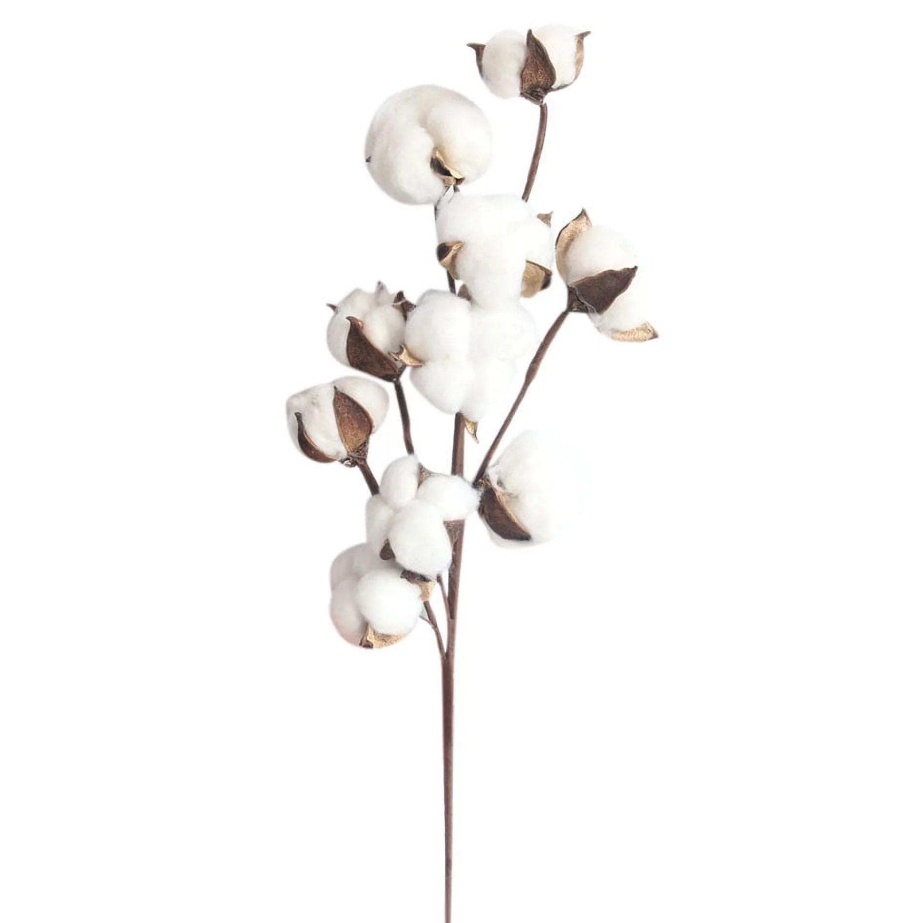 Otvok Clearance Deals Naturally Dried Cotton Stems Farmhouse Artificial Flower Filler Floral Decor