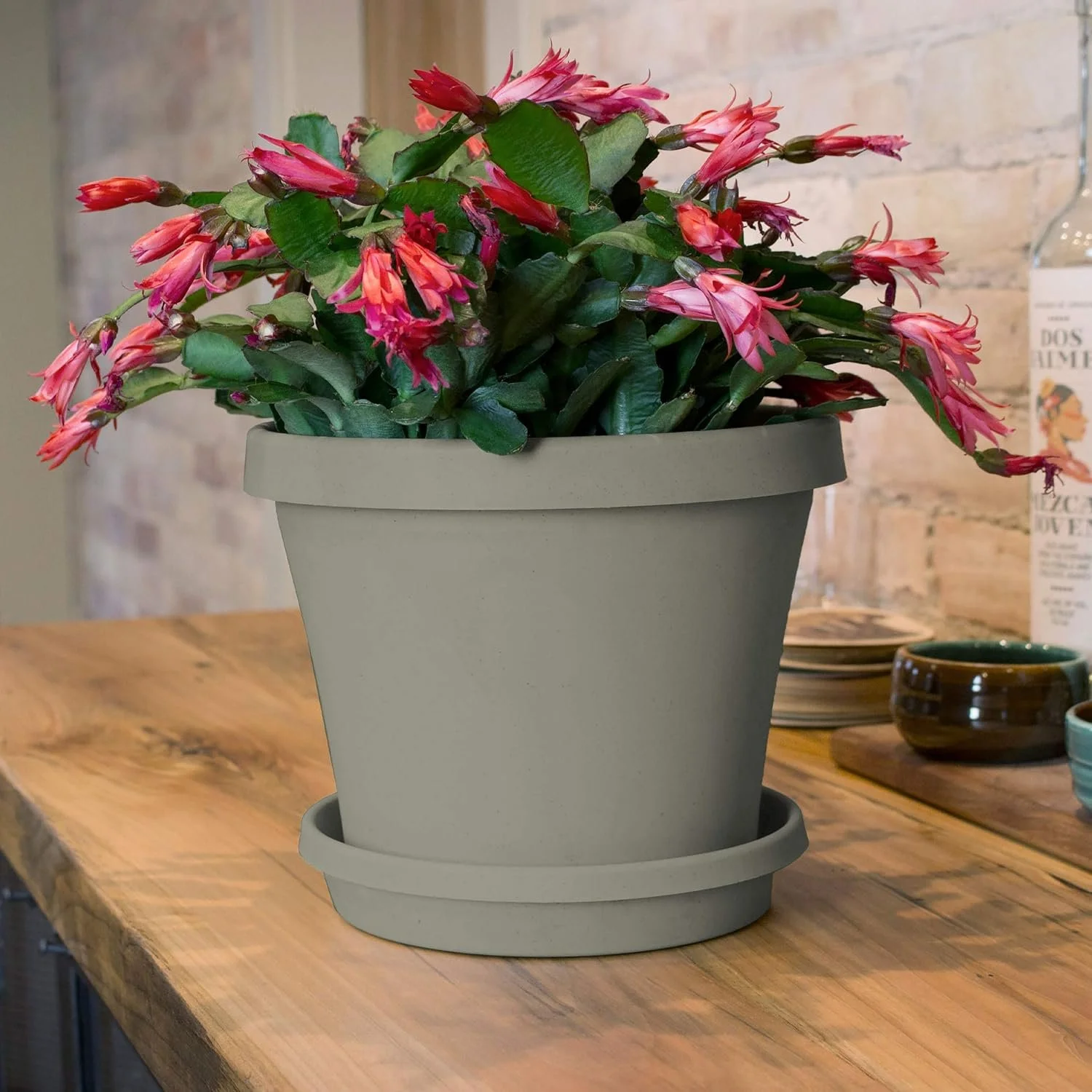 Bloem TR0883 Terra Plastic Pot Planter 8