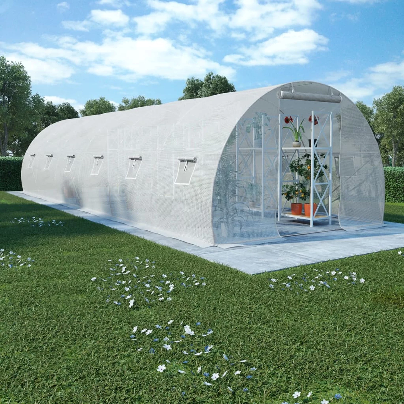 Carevas Greenhouse 290.6ft² 354.3