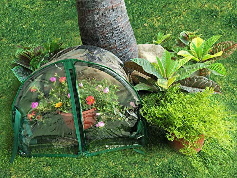 Zenport SH3270-12.5 1-Foot High Balcony Protected Patio, Mini Clear Greenhouse