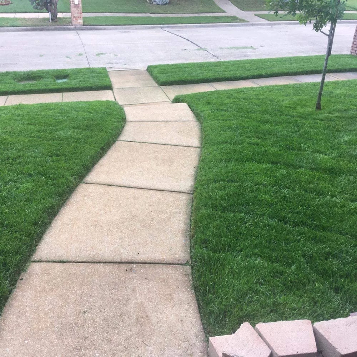 LPFEP 35195 Rotary Lawn Edger with Dual Wheel – 48 Inch Fiberglass Handle with Non Slip Grip