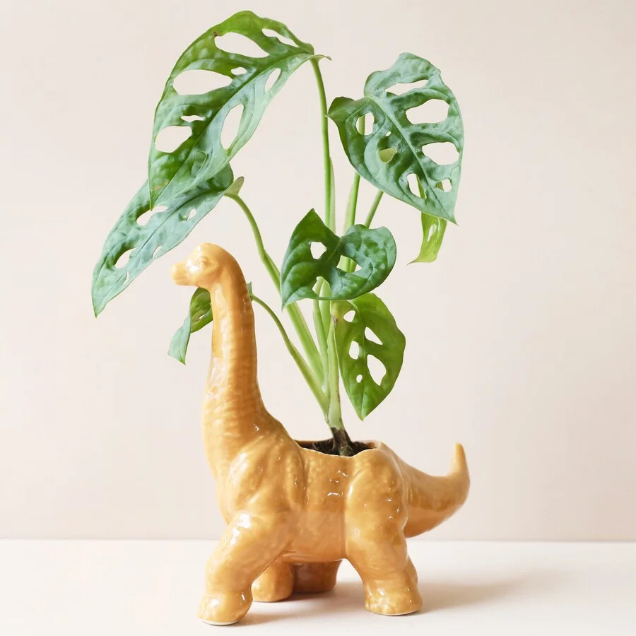 Orange Dinosaur Planter Pots for Succulents | Animal Planter | Succulent Planter Pot | Cute Planter | Dinosaur Decor
