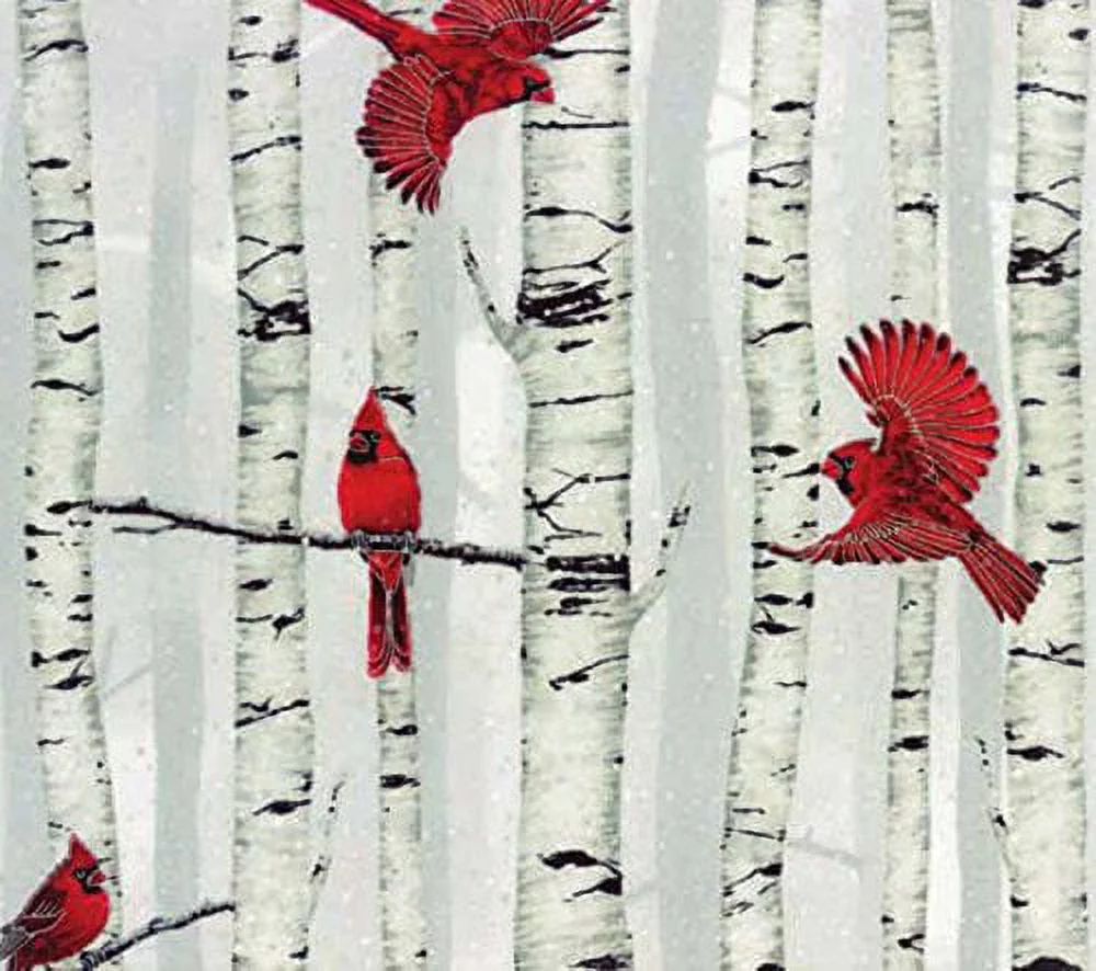 Cotton Woodsy Winter Cardinals Red Birds on Birch Trees Metallic Cotton Fabric Print by the Yard (L7325-483S-FOG-SILVER) D467.32