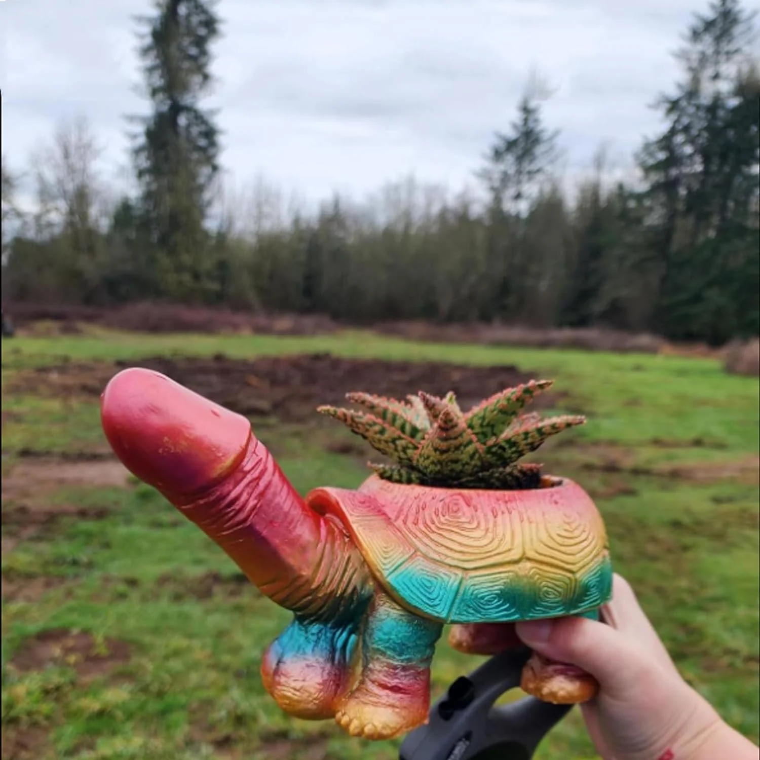 FeBohao 1Pcs Turtle Planter Turtle Flesh Planter Turtle Statue Turtle Gift Fun Planter