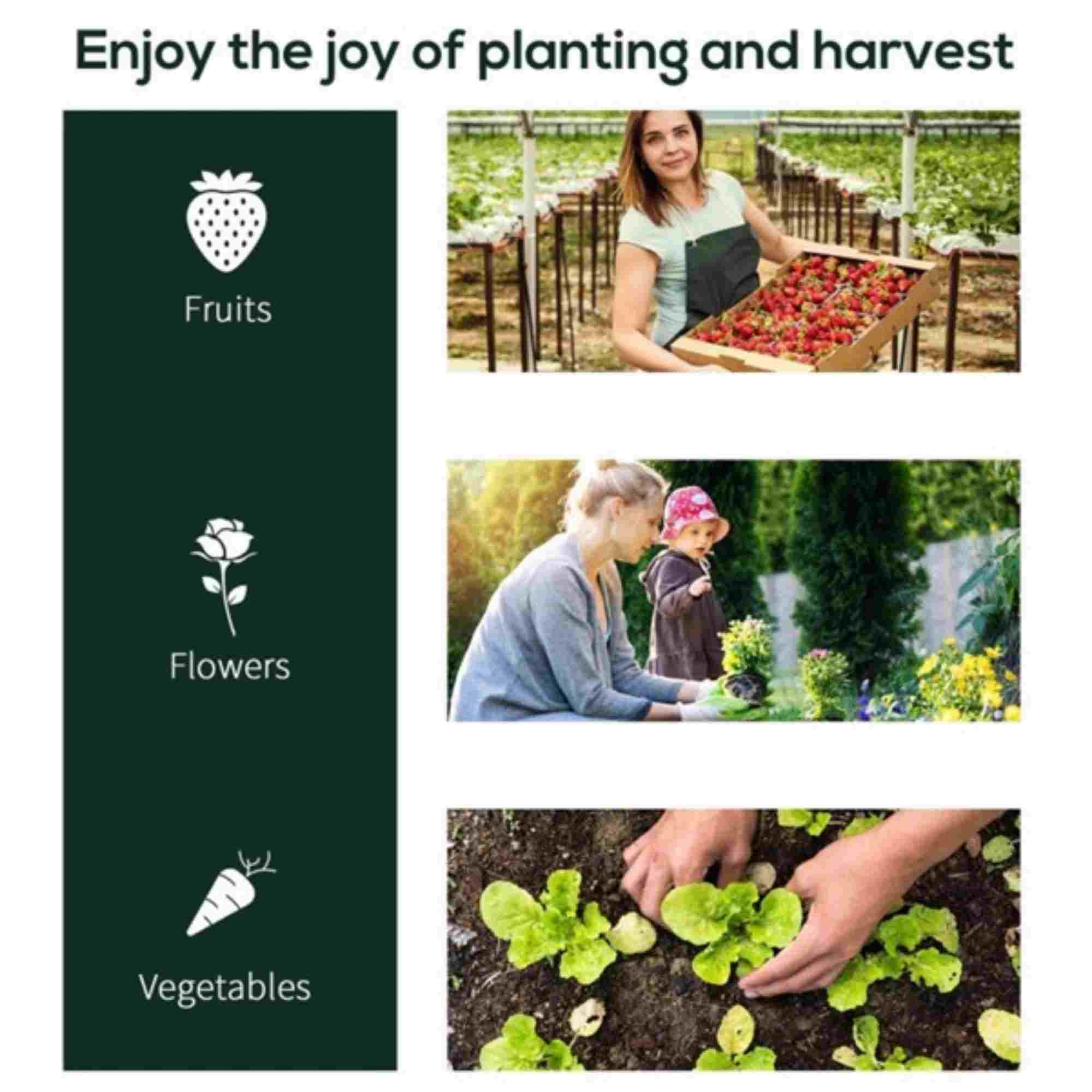 Dinling Mini Greenhouse-PVC Cover