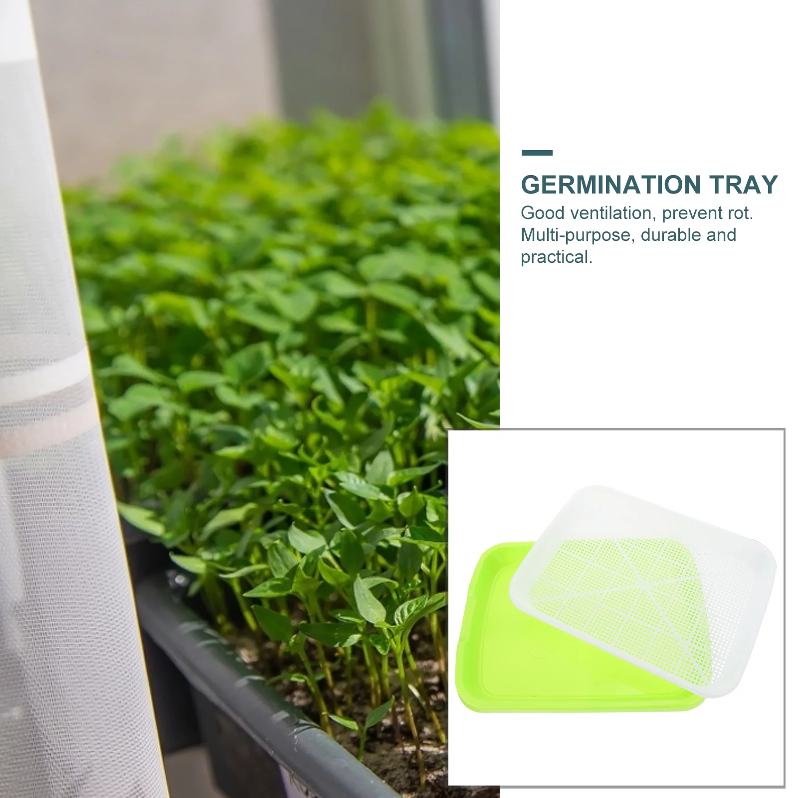 Gongxipen 2 Sets Sprout Vegetable Seedlings Tray Wheatgrass Double-layer Seedlings Box