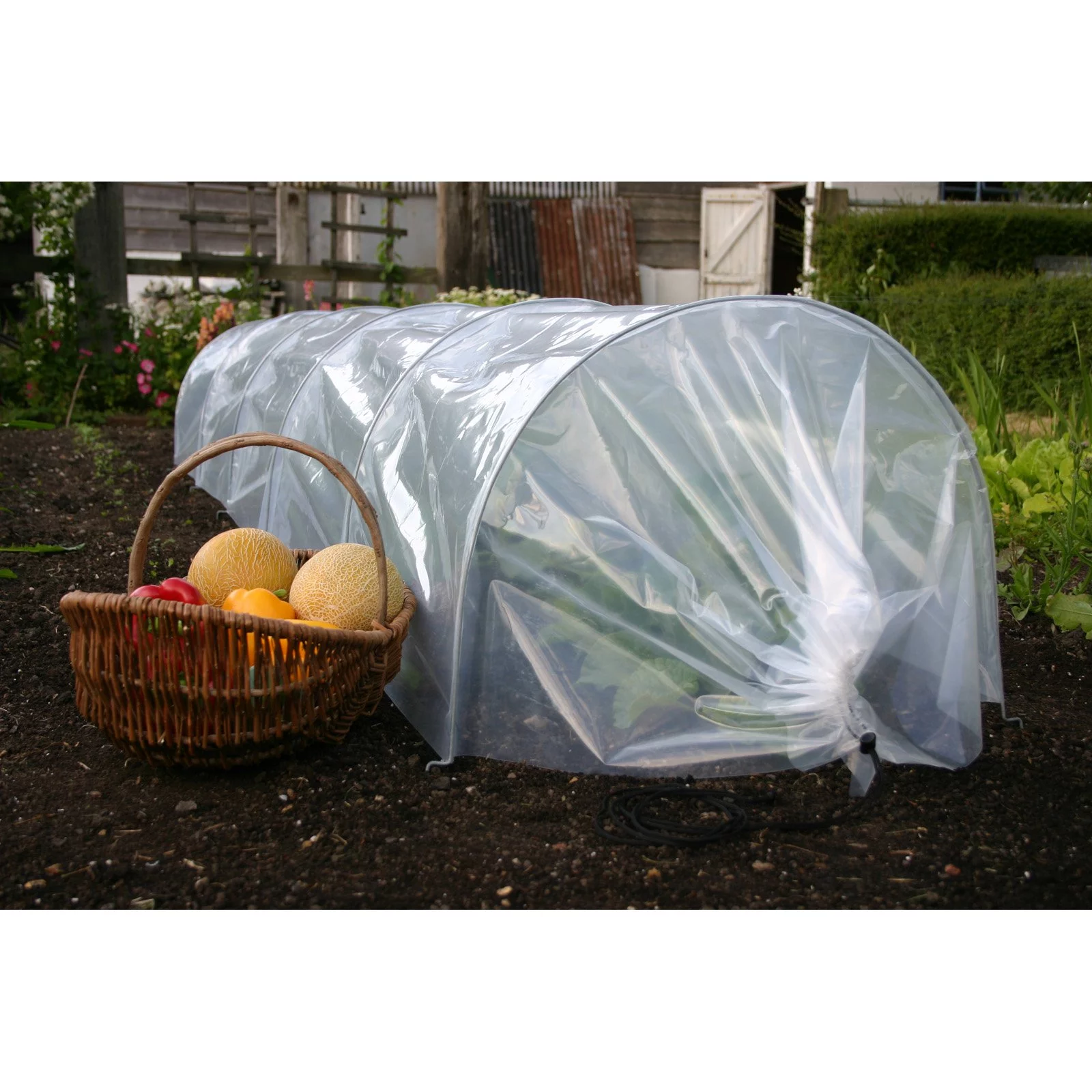 Tierra Garden Haxnicks Giant Easy Poly Tunnel