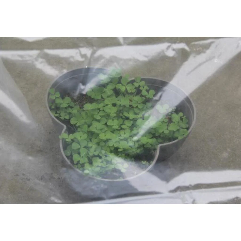 Polyethylene Greenhouse Supplies Resistant 2.5 x 1m