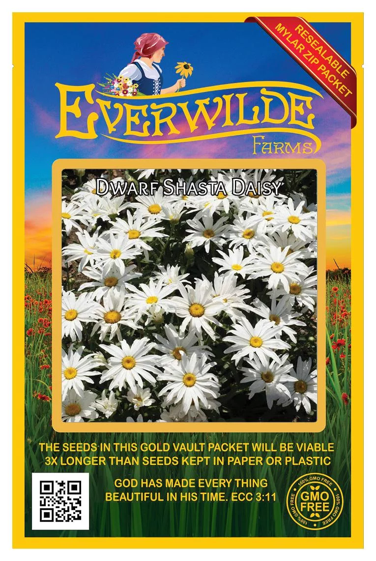 Everwilde Farms - 2000 Dwarf Shasta Daisy Garden Flower Seeds - Gold Vault Jumbo Bulk Seed Packet