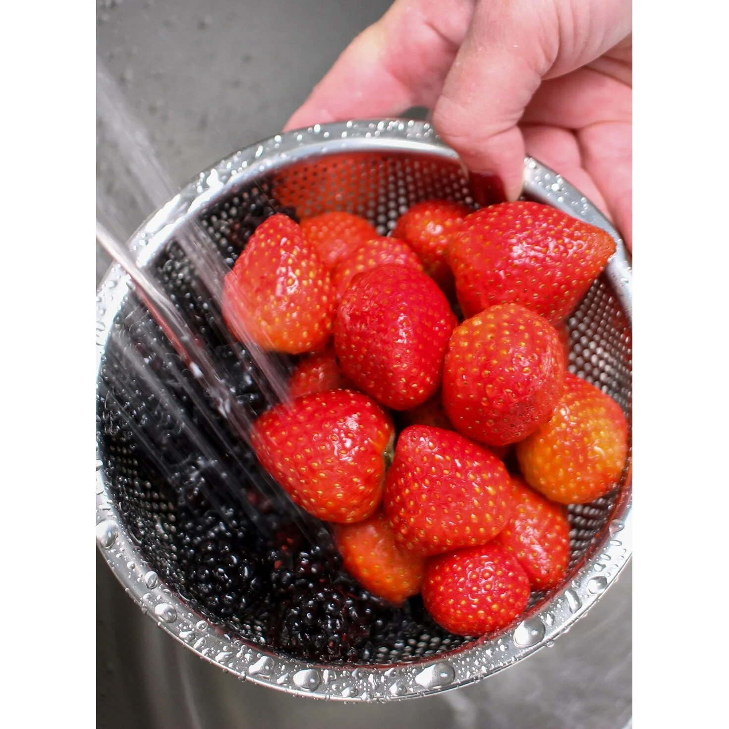 RSVP Stainless Steel Precision Pierced Berry Colander in Silver