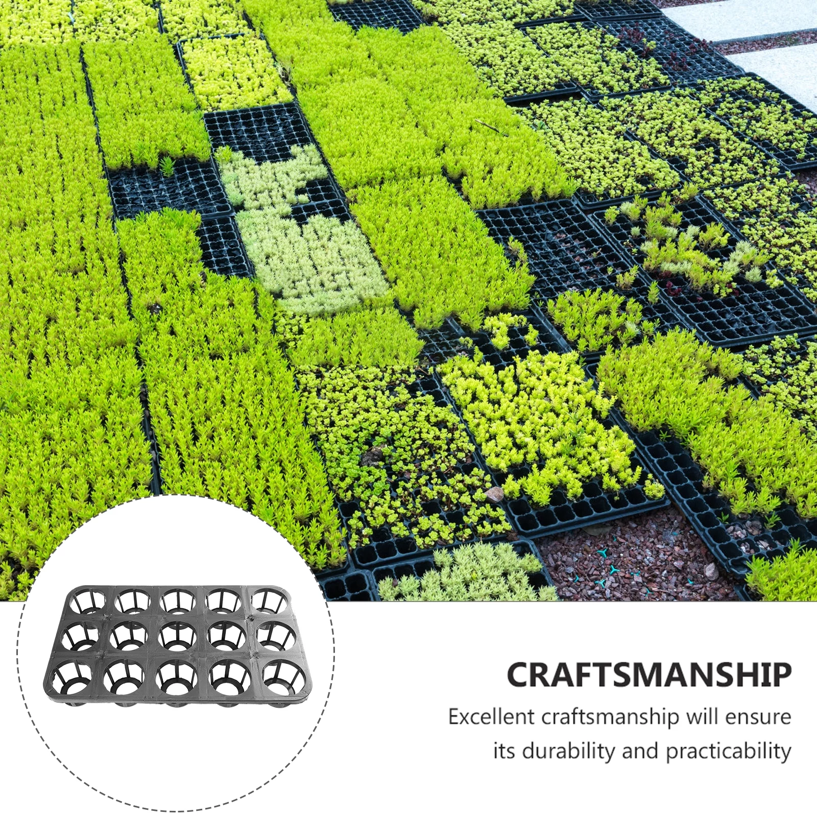 Guichaokj 5pcs Plant Growing Trays Planting Germination Plates Plant Flower Growth Tray