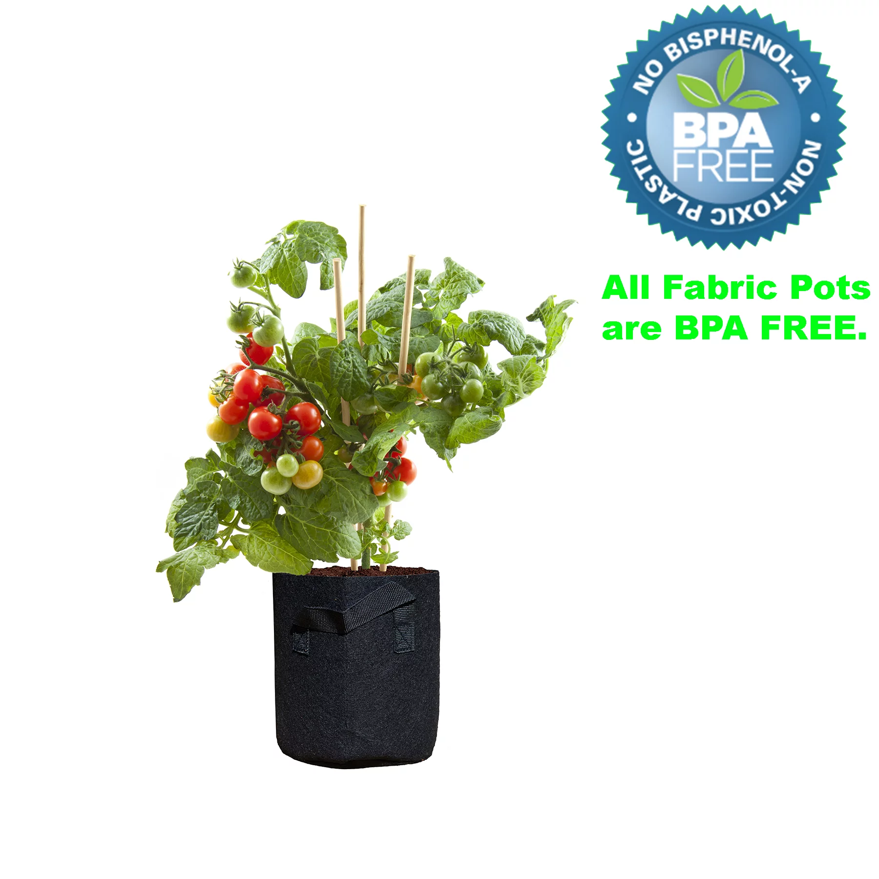 1 Gal. Breathable Fabric Root Aeration Pot with Handles (10-Pack)