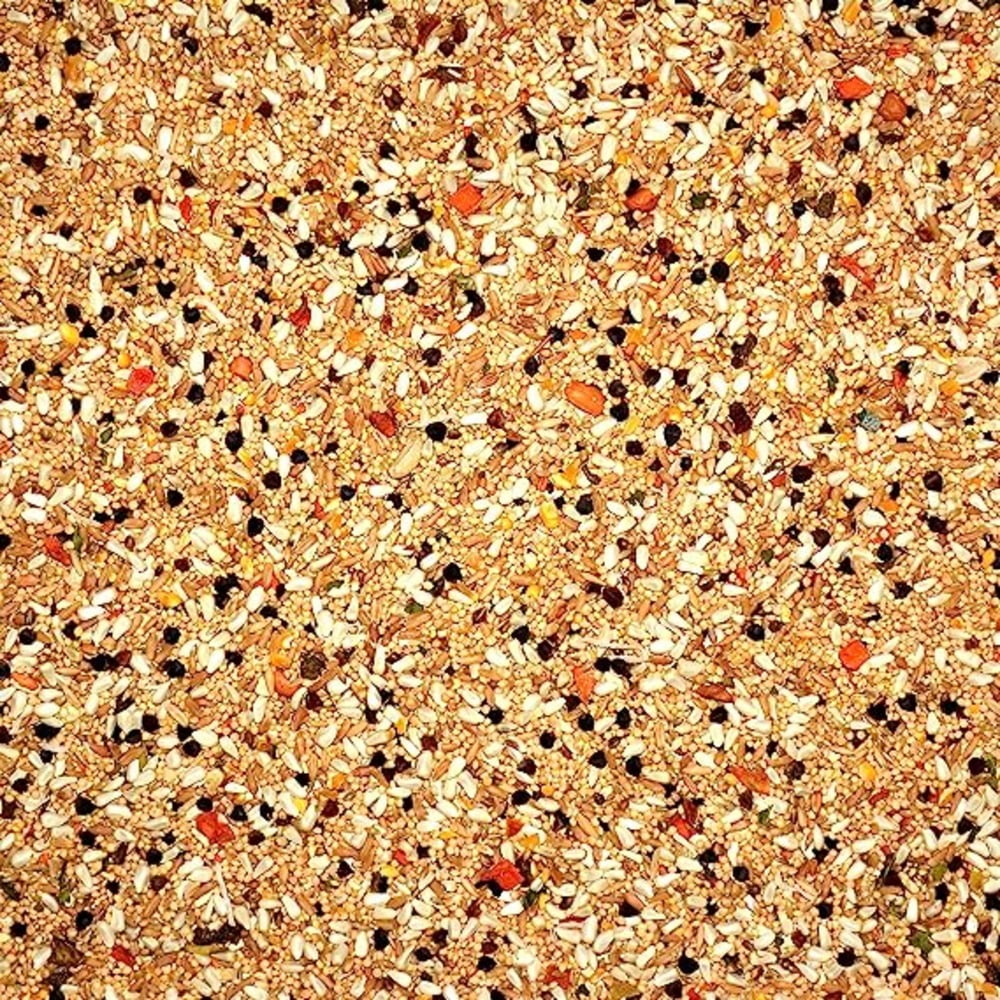 Volkman Avian Science Cockatiel No Sunflower Seeds 4-Pounds Resealable