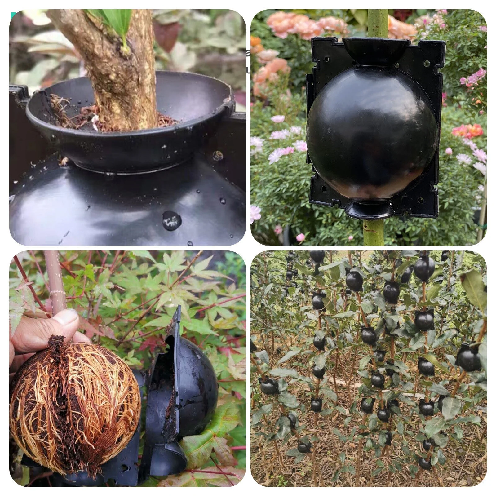 10/20PCS Plants Rooting Device High Pressure Propagation Ball Graft Growing Box