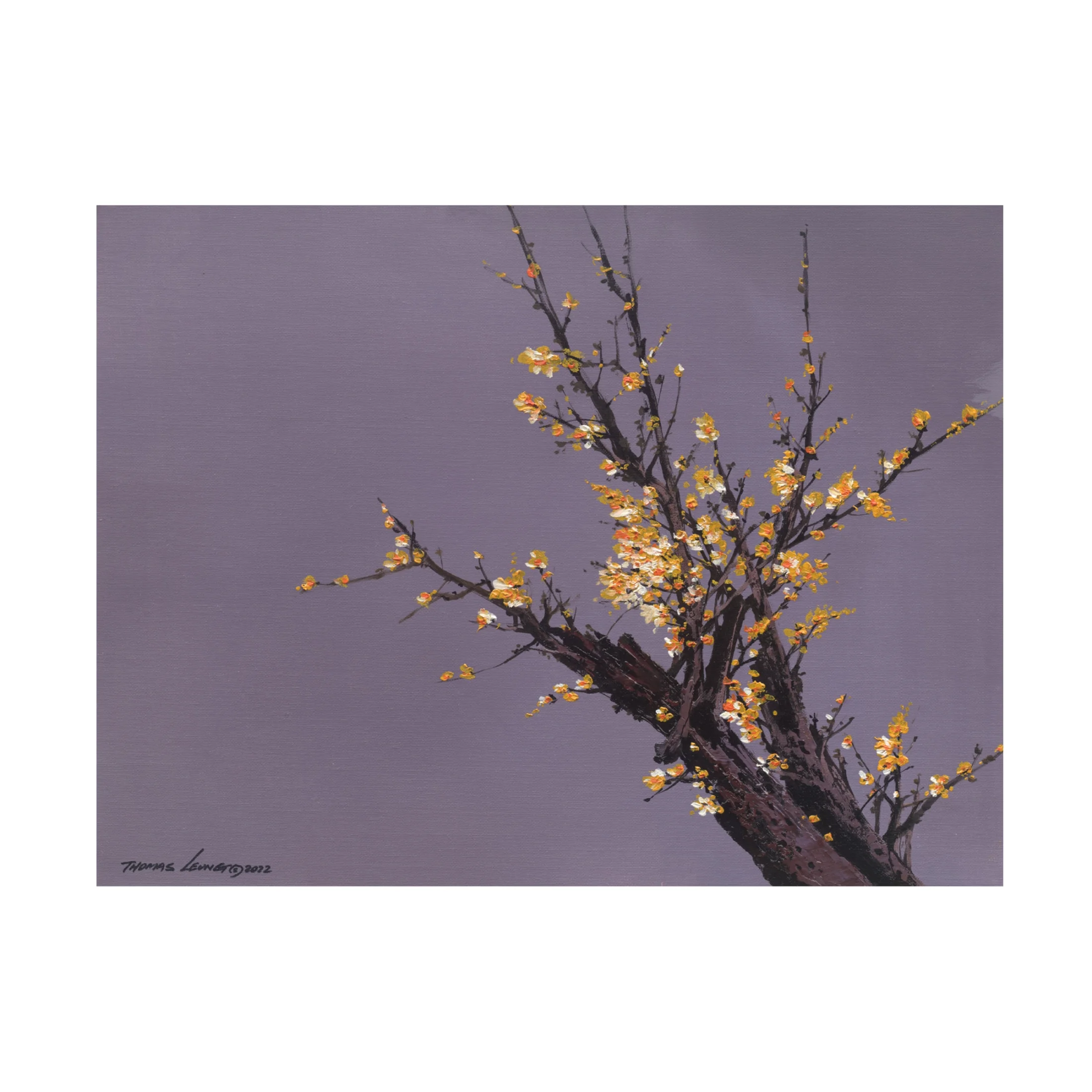 Canvas Wall Art - Thomas Leung 'Little Plum Flowers' Wall Art for Living Room, Bedroom, or Office Décor by Trademark Fine Art - 19 x 14 Inches