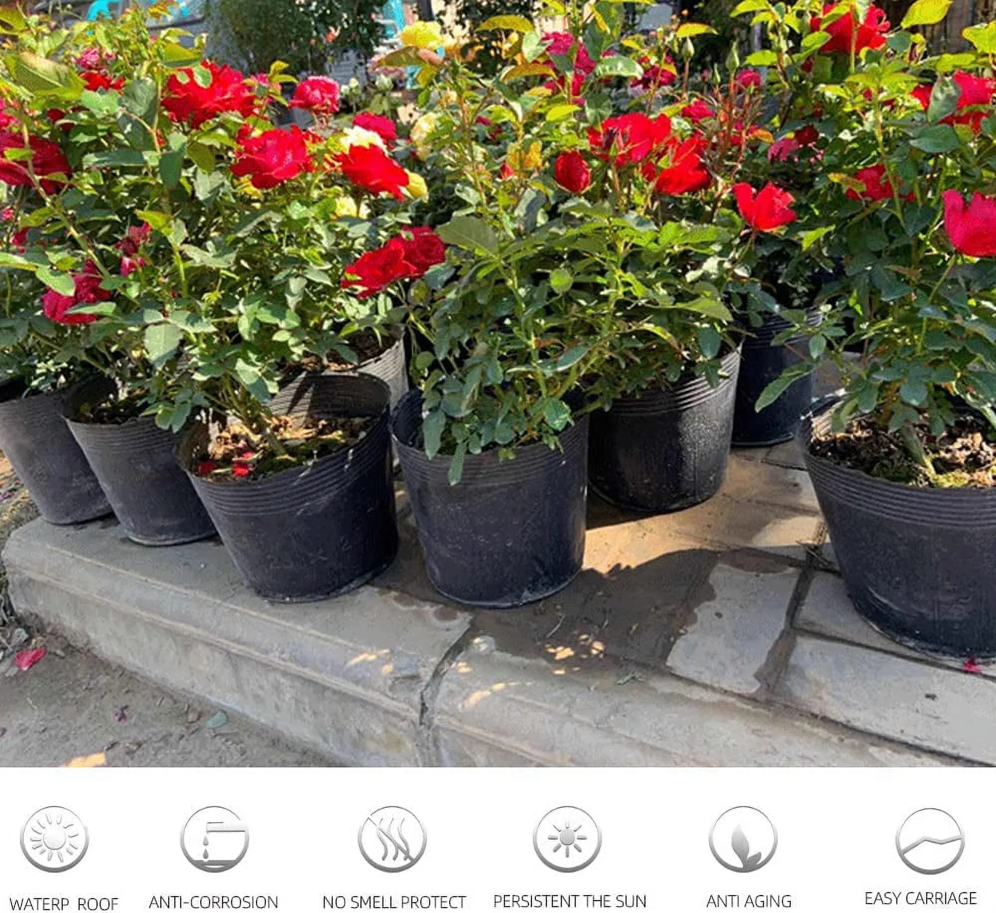 6 Inch Plastic Plants Nursery Pot/Pots Seedlings Flower Plant Container Seed Starting Pots, 60 Pcs