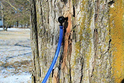 Maple Syrup Tree Tapping Tubing Line - 50 FEET - 5/16 inch Vacuum Line Hose - Can use with Drop Line Tubes Set-up - Semi Stiff Blue - 15 Year (50 Foot Length)