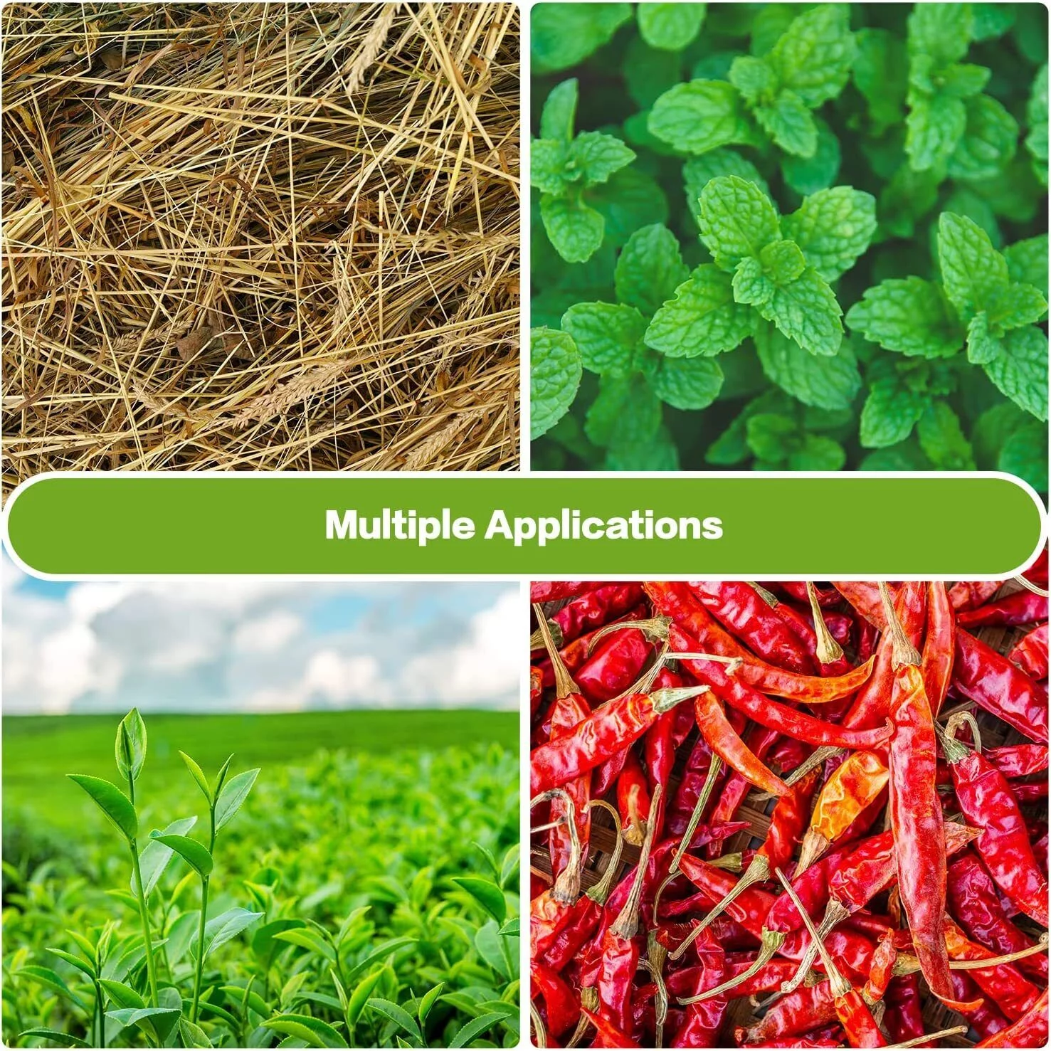 iPower Electric Bud Leaf Trimmer Machine 16-inch Automatic Open Top Hydroponic Bowl Trim Reaper Spin Cut Plant