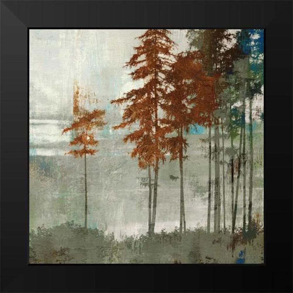 PI Studio 12x12 Black Modern Framed Museum Art Print Titled - Spruce Woods II