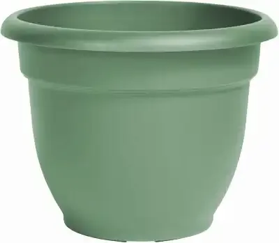 Bloem 20-56410 Planter, 10 in Dia, 8-1/2 in H, 11 in W, Round, Plastic, Living Green