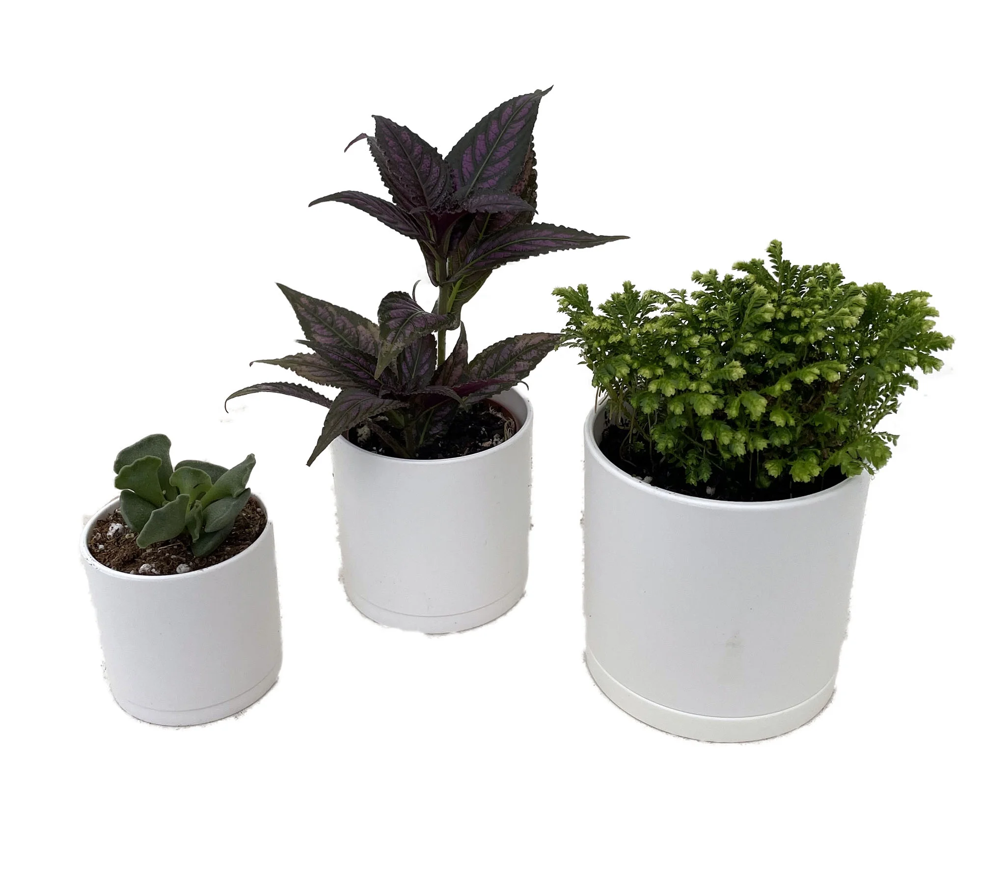 Modern White - Straight Cylinder Plastic Pots and Saucers - 3 Pack