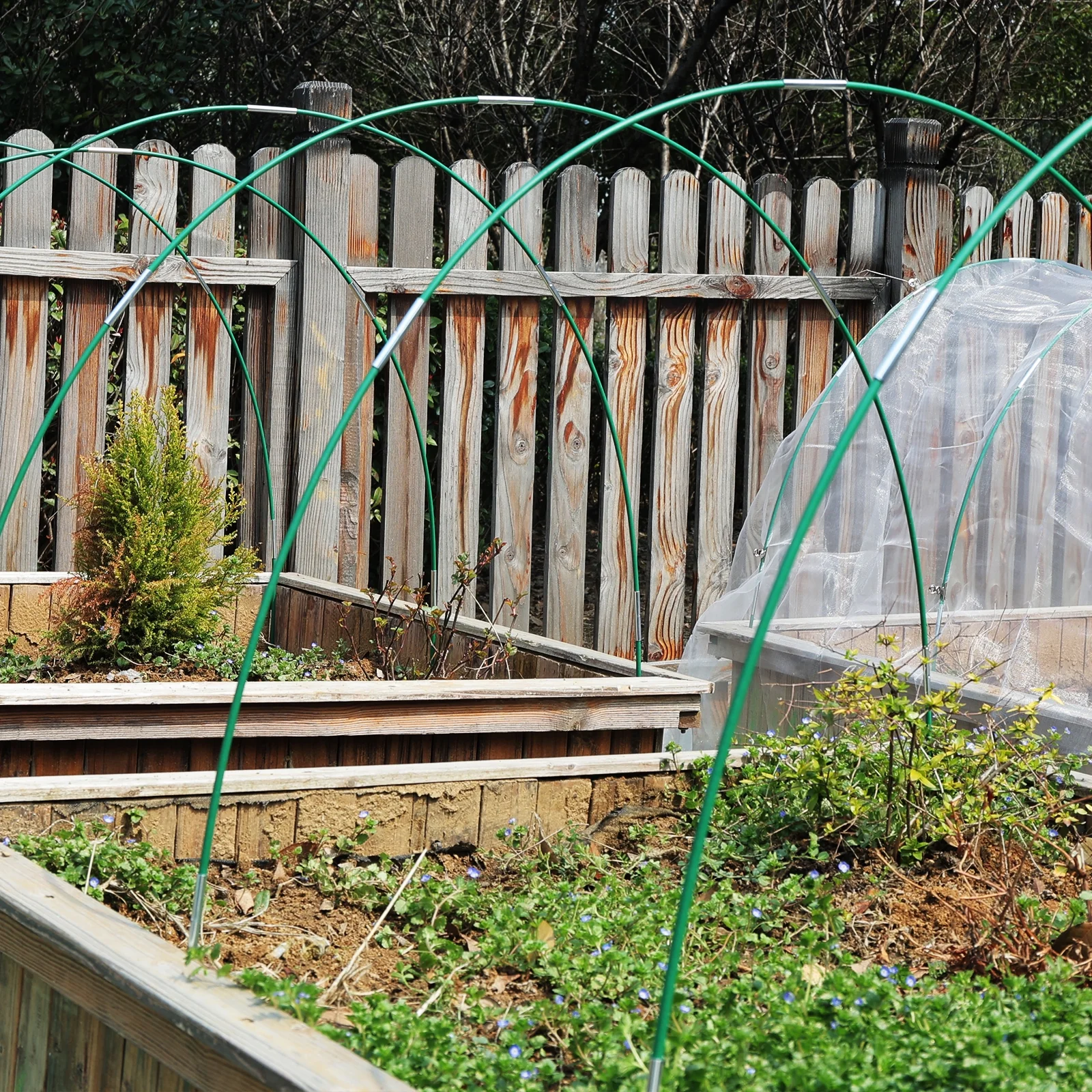 Cambaverd Greenhouse Hoops 6 Sets of 8FT Long Garden Hoops for Raised Beds, 36pcs Fiberglass Grow Tunnel