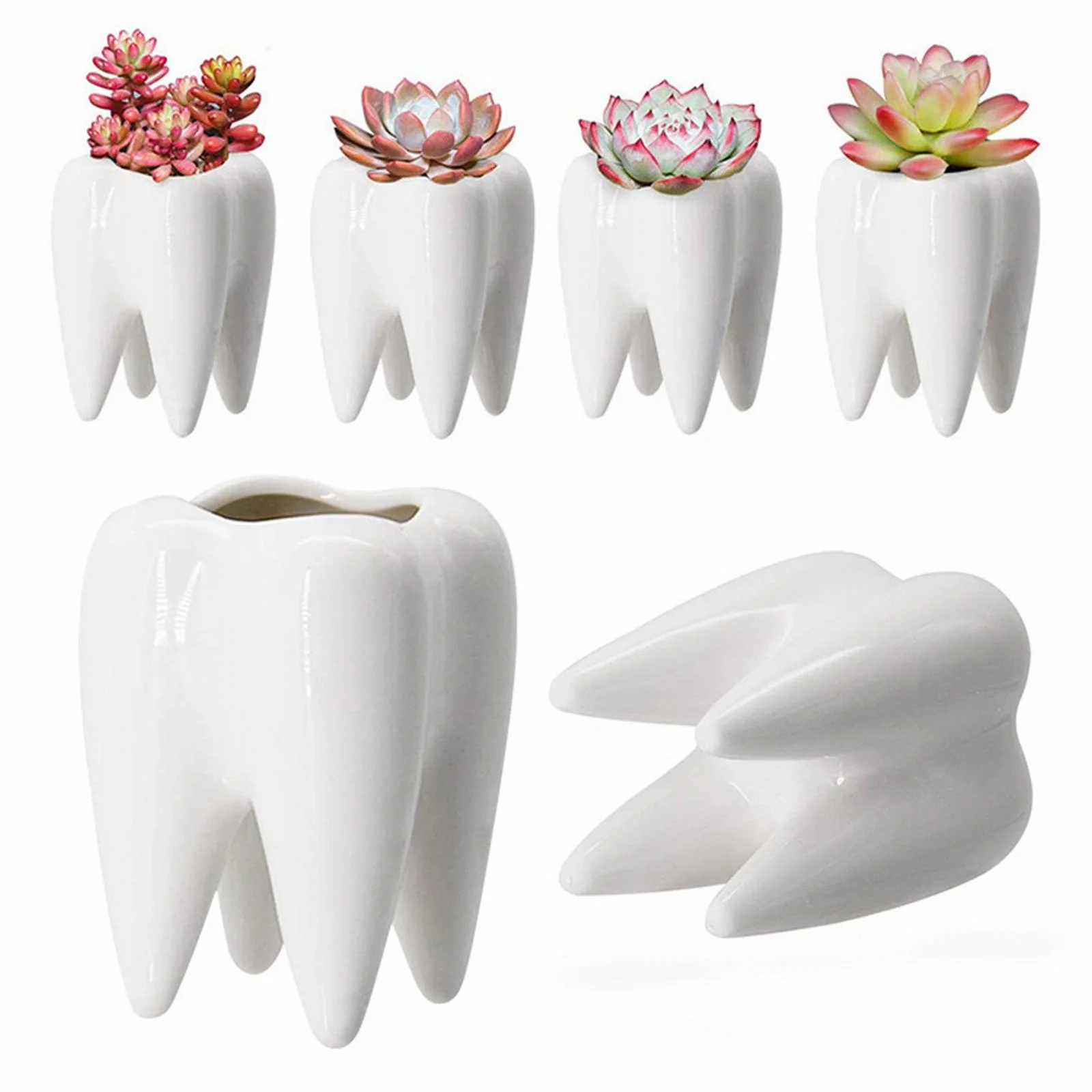 LLQkigsxse Garden Pot Mover 300lbs Teeth Succulent Resin Vase For Cute Cartoon Flower Pot For Home Decoration Ceramic Flowerpot Birthday Gifts For Women Friendship